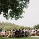wedding guests sat beneath tall tree