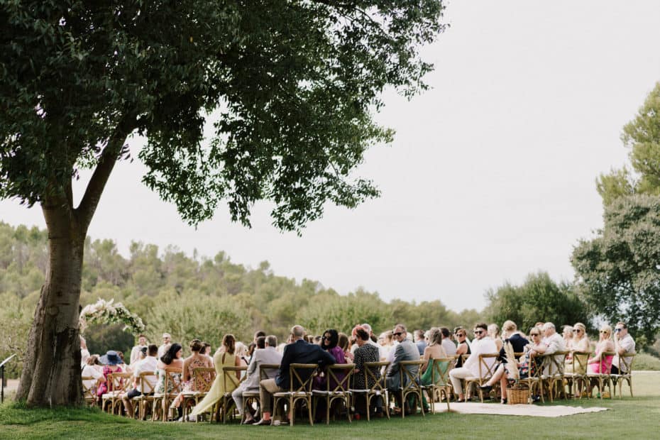 wedding guests sat beneath tall tree