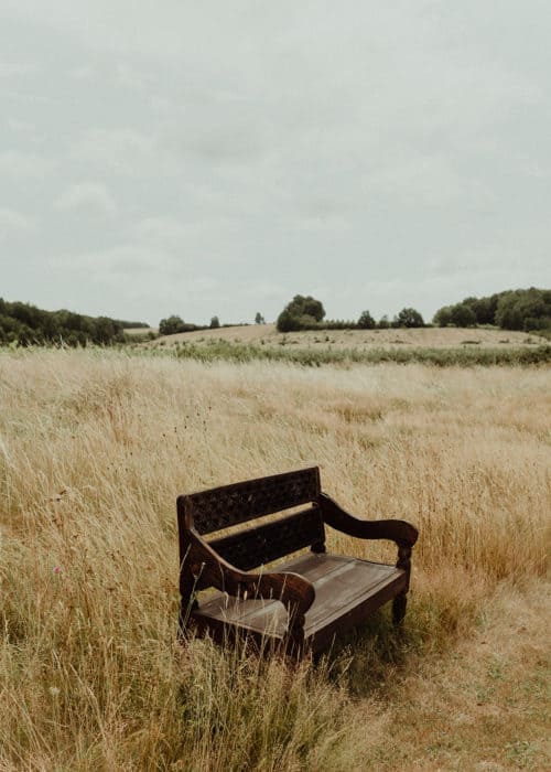 single bench in french field