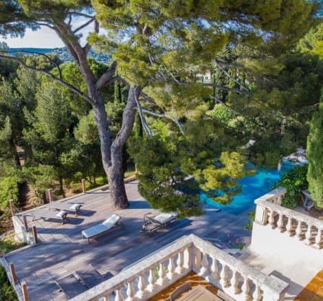 top down view of tree and pool at private wedding venue domaine de canaille in the french riviera