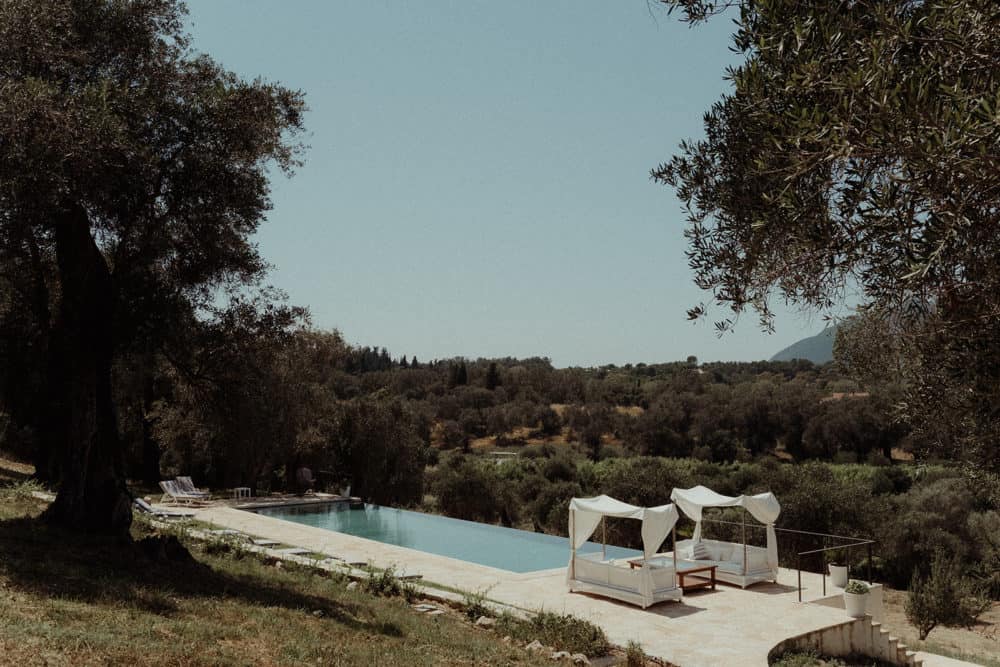 pool with sunbeds and olive trees