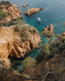 trees growing on spanish cliff face near coastal wedding venue how to get married in Spain