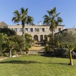olive and tall palm trees at wedding venue casa la siesta in spain