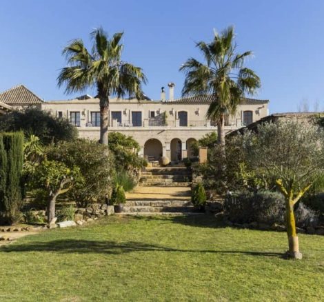 olive and tall palm trees at wedding venue casa la siesta in spain