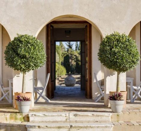 potted trees lining the entrance to spanish wedding venue casa la siesta spanish wedding venue casa la siesta spanish wedding venue casa la siesta