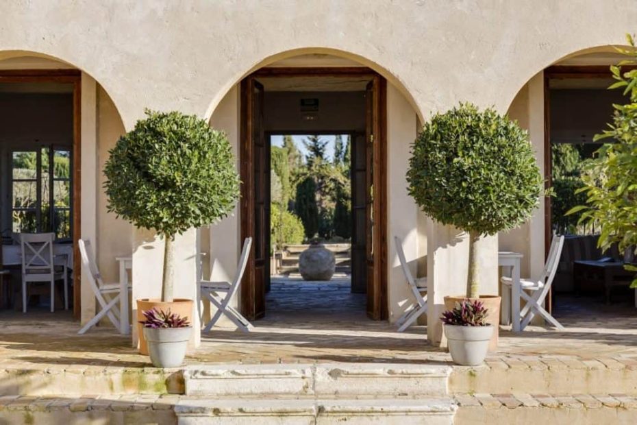 potted trees lining the entrance to spanish wedding venue casa la siesta spanish wedding venue casa la siesta spanish wedding venue casa la siesta