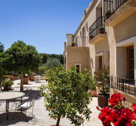 lemon tree growing outside wedding villa casa la siesta in spain