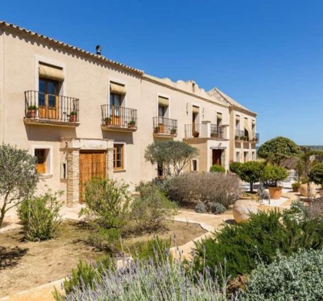 lavender and olive trees outside wedding villa casa la siesta in spain
