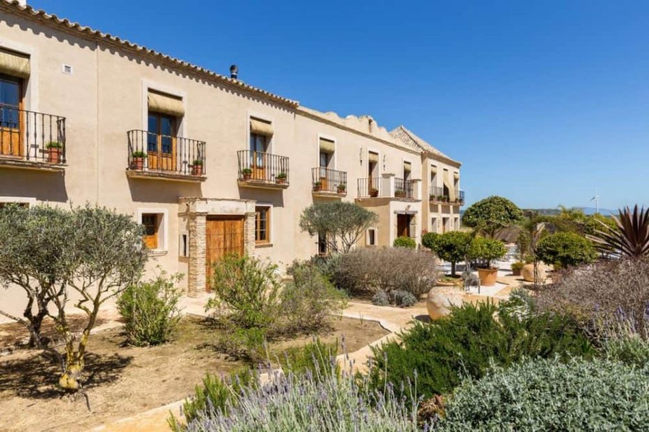 lavender and olive trees outside wedding villa casa la siesta in spain