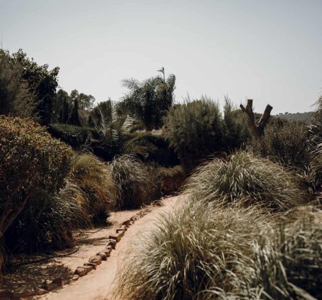 garden trail leading to spanish wedding venue cast la siesta