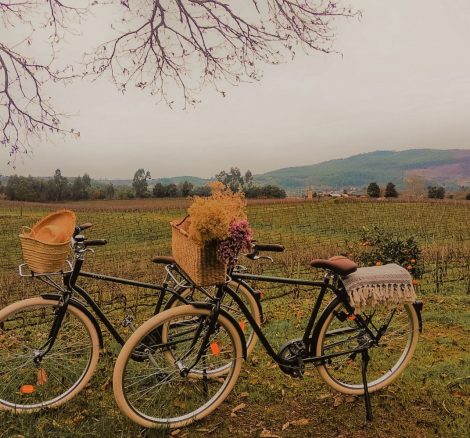 bikes available to use at terra rosa country house and vineyards wedding venue in portugal