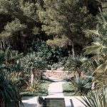 pathway surrounded by trees at ibiza wedding venue pure house
