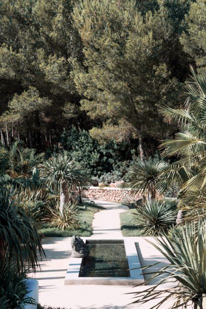 pathway surrounded by trees at ibiza wedding venue pure house