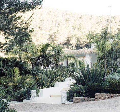 the entrance lined with tropical plants at ibiza wedding venue pure house
