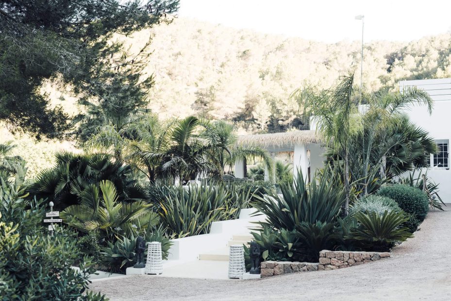 the entrance lined with tropical plants at ibiza wedding venue pure house