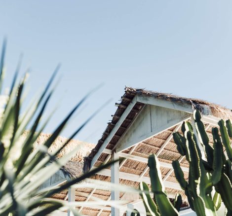 artistic angled shot of the building and tropical plants at ibiza wedding venue pure house