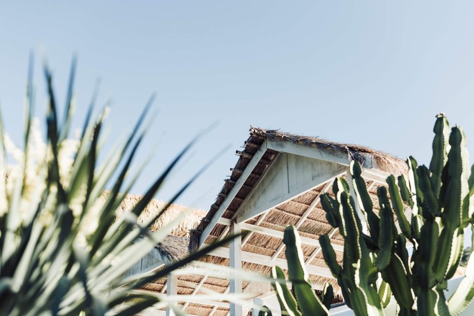 artistic angled shot of the building and tropical plants at ibiza wedding venue pure house