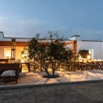 Al fresco dining and olive tree growing through the tiles at craveiral farmhouse in portugal