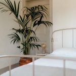 wire bed frame and palm tree in one of the beautifully designed bedrooms at wedding venue casa sacoto in portugal