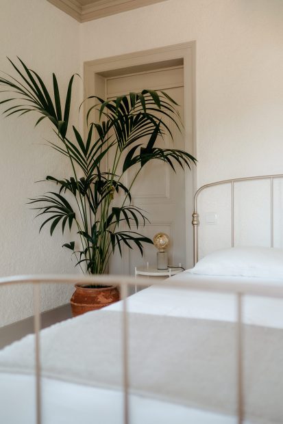 wire bed frame and palm tree in one of the beautifully designed bedrooms at wedding venue casa sacoto in portugal