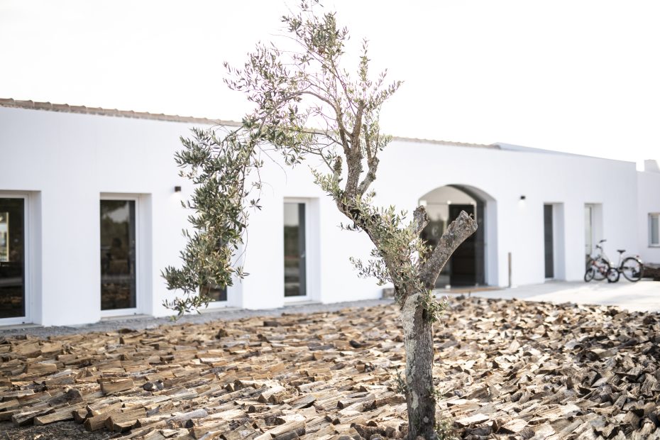 a green olive tree outside the entrance to Portuguese wedding venue craveiral farmhouse