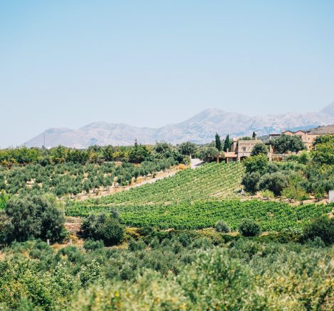 Rustic Agreco farm by Grecotel photographed on a sunny wedding day in Crete.