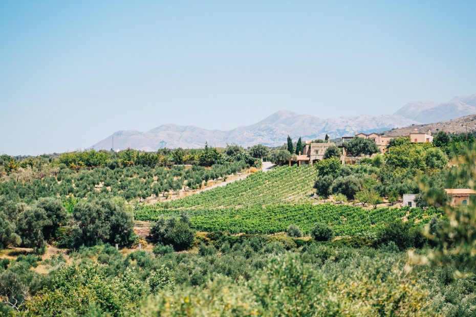 Rustic Agreco farm by Grecotel photographed on a sunny wedding day in Crete.