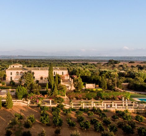 the side view over the olive grove at son doblons wedding venue in mallorca