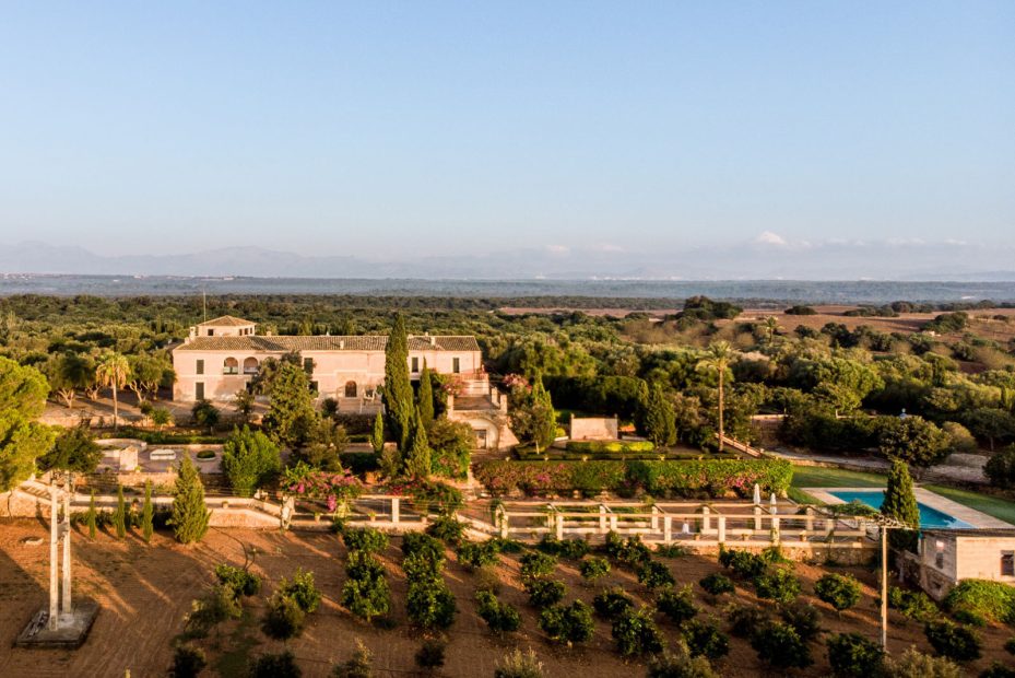 the side view over the olive grove at son doblons wedding venue in mallorca