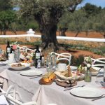 wedding breakfast tables set up ready for guests to dine between the olive trees outdoors at ca na xica one of the best wedding venues in ibiza