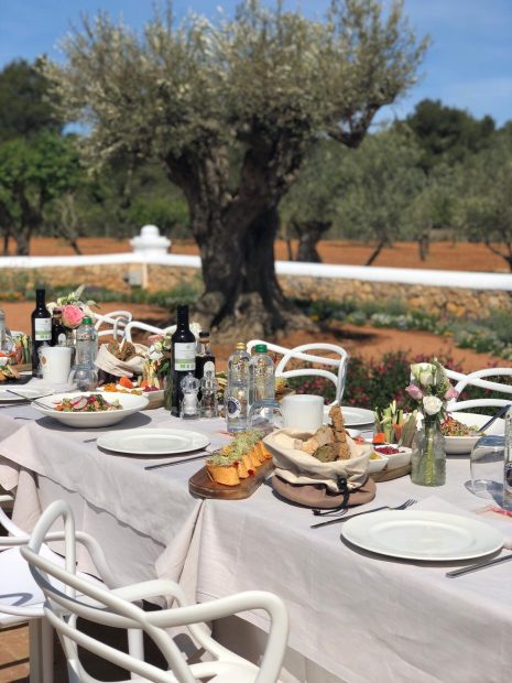 wedding breakfast tables set up ready for guests to dine between the olive trees outdoors at ca na xica one of the best wedding venues in ibiza