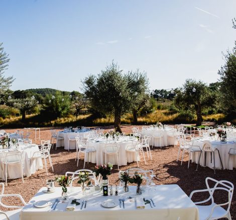 wedding tables set up for guests in the olive grove on the grounds of ca na xcc in ibiza a unique wedding venue