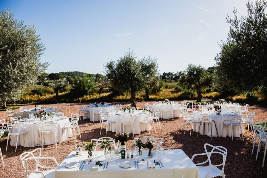wedding tables set up for guests in the olive grove on the grounds of ca na xcc in ibiza a unique wedding venue
