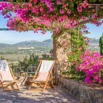 outdoor seating underneath climbing pink flowers at son doblons spanish wedding venue in mallorca