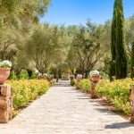 walkway for the bride and groom at son doblons spanish wedding venue in mallorca