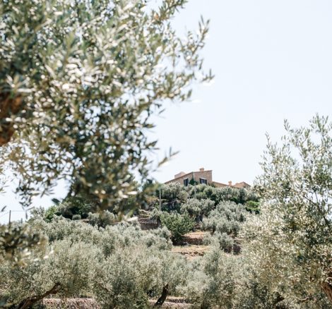 olive grove at luxury wedding venue ca's xorc in mallorca