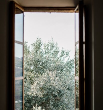 view out the timber framed bedroom window overlooking the surrounding olive groves at luxury wedding venue ca's xorc in mallorca