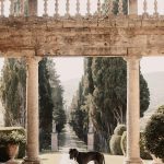 dog at wedding venue in Tuscany Italy Borgo Stomennano