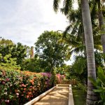 Palm trees line the walkway at wedding venue in Mexico Hacienda Sac Chich