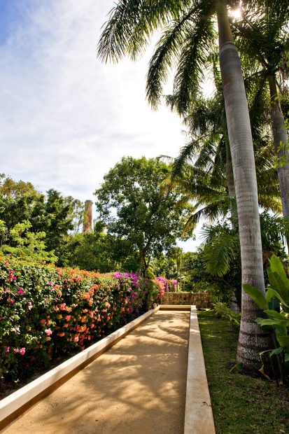 Palm trees line the walkway at wedding venue in Mexico Hacienda Sac Chich