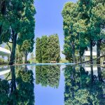 pool reflection of ancient trees at historical private villa wedding venue in Sorrento Italy villa zagara