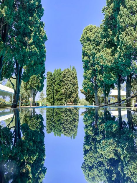 pool reflection of ancient trees at historical private villa wedding venue in Sorrento Italy villa zagara