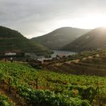 vineyards and hillside Douro valley wedding venue