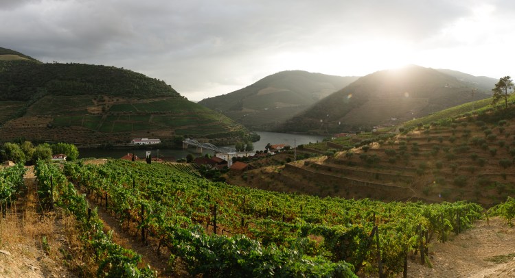 vineyards and hillside Douro valley wedding venue