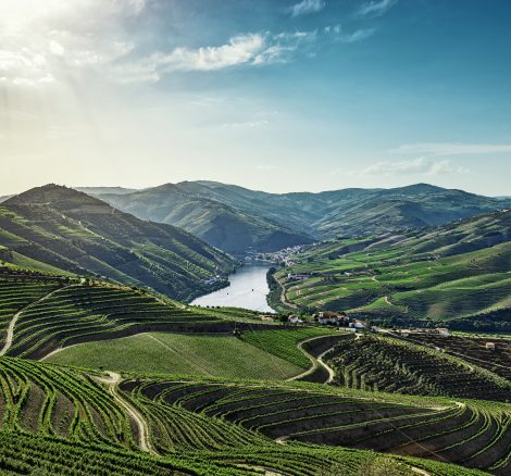 Douro valley with river in Portugal