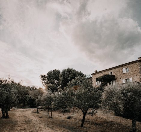 olive grove at wedding venue in france provence le domaine du rey