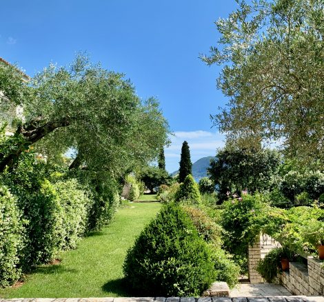 lush green grounds at wedding venue villa in corfu Greece at villa Sylva