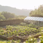 vegetable patch and greenhouse at wedding venue in tuscany villa lena