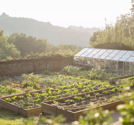 vegetable patch and greenhouse at wedding venue in tuscany villa lena