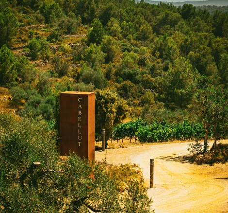 cool rusted sign at the end of the driveway up to vineyard wedding venue in Barcelona Spain Masia cabellut